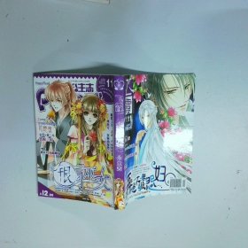 飛霞 Princess公主志 2011 11