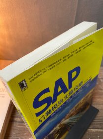 SAP后勤模块实施攻略：SAP在生产、采购、销售、物流中的应用