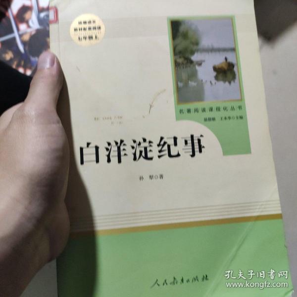 白洋淀纪事 名著阅读课程化丛书（统编语文教材配套阅读）七年级上