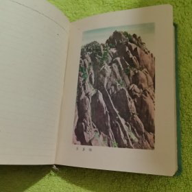 百花齐放 笔记本