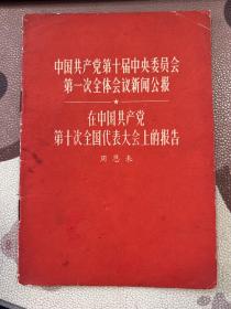 中国共产党第十届中央委员会第一次全体会议新闻公报