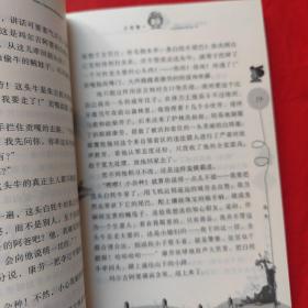 赵燕翼儿童文学集：天山少年传奇