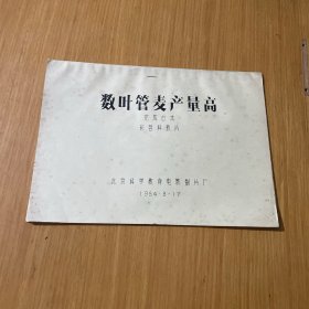 数叶管麦产量高完成台本