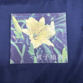 初中植物学教学参考图册5 被子植物