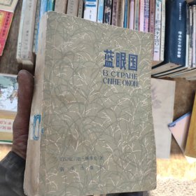 蓝眼国