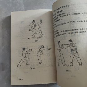 六合八法拳