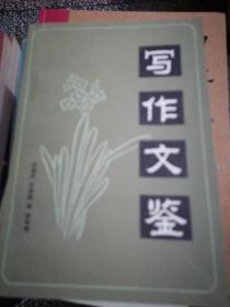 寫(xiě)作文鑒