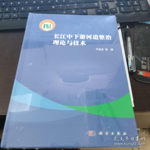 长江中下游河道整治理论与技术