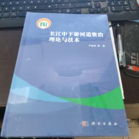 长江中下游河道整治理论与技术