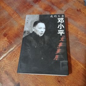 我的父亲邓小平：文革岁月