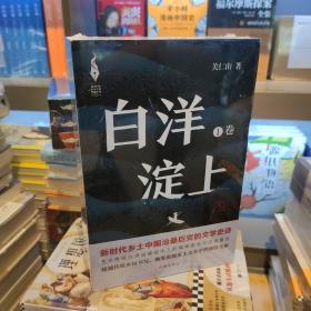 白洋淀上    作者关仁山书写新时代的雄安建设和乡村振兴的山乡巨变