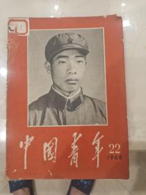 65年期刊中国青年