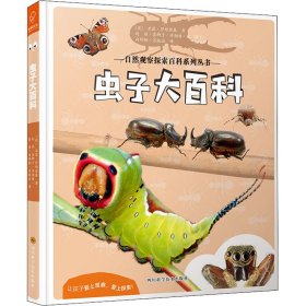 虫子大百科——自然观察探索百科系列丛书