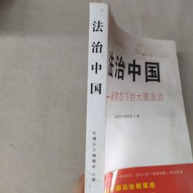 法治中国：新常态下的大国法治