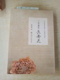 一日看尽长安花：听北大教授畅讲中国古代文学