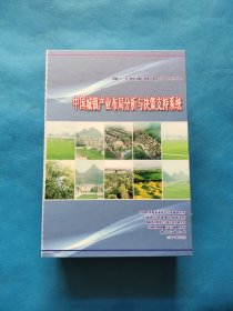 中国城镇产业布局分析与决策支持系统 10碟装