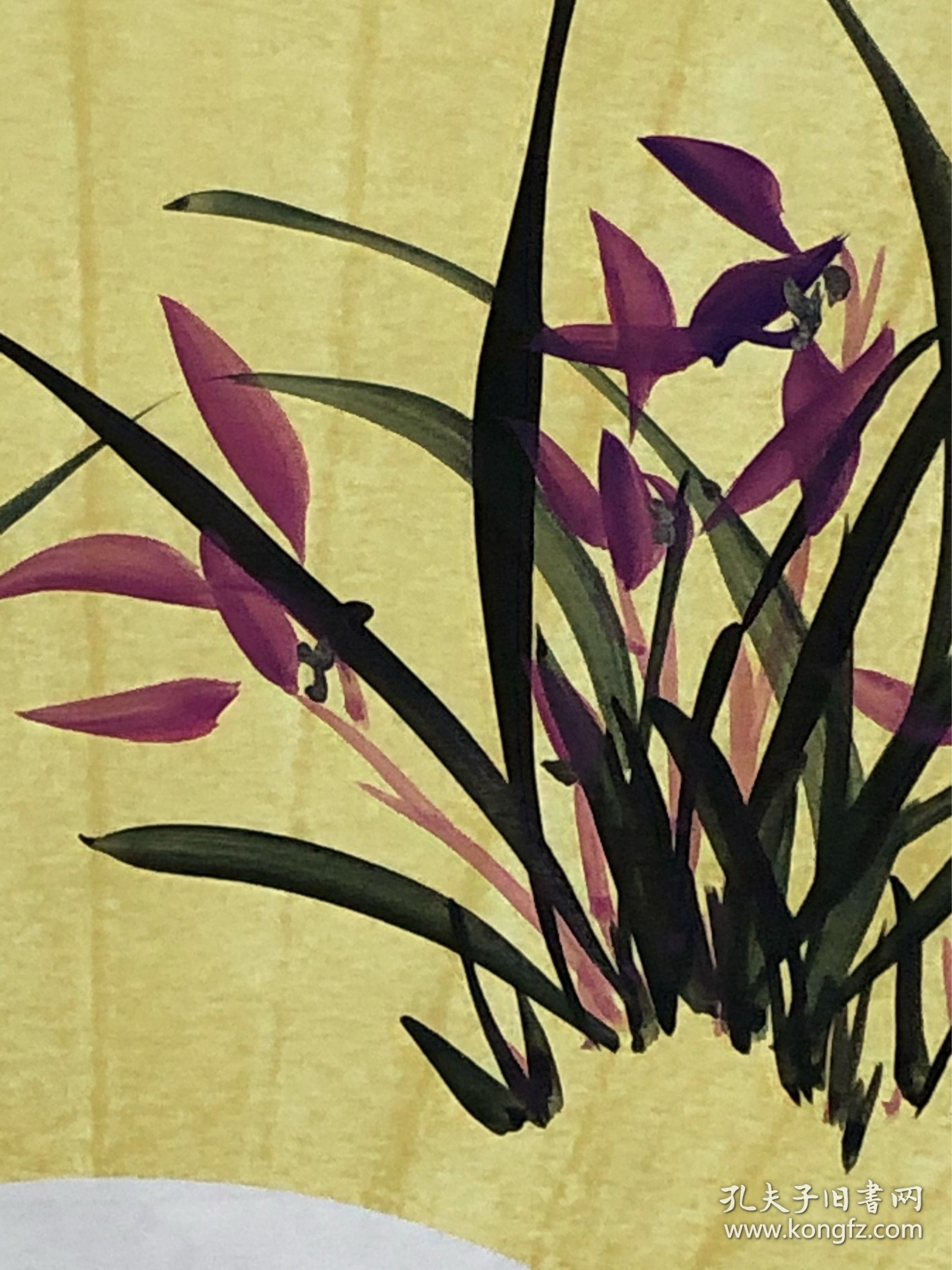 市美协会员精美国画兰花放漏起!62乘31