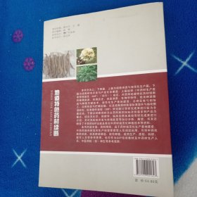 地道特色药材续断