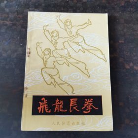 飞龙长拳