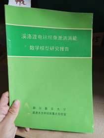 溪洛渡电站坝身泄洪消能数学模型研究报告