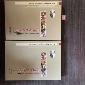 淮海大战亲历记：献给淮海战役胜利六十周年（全2册）