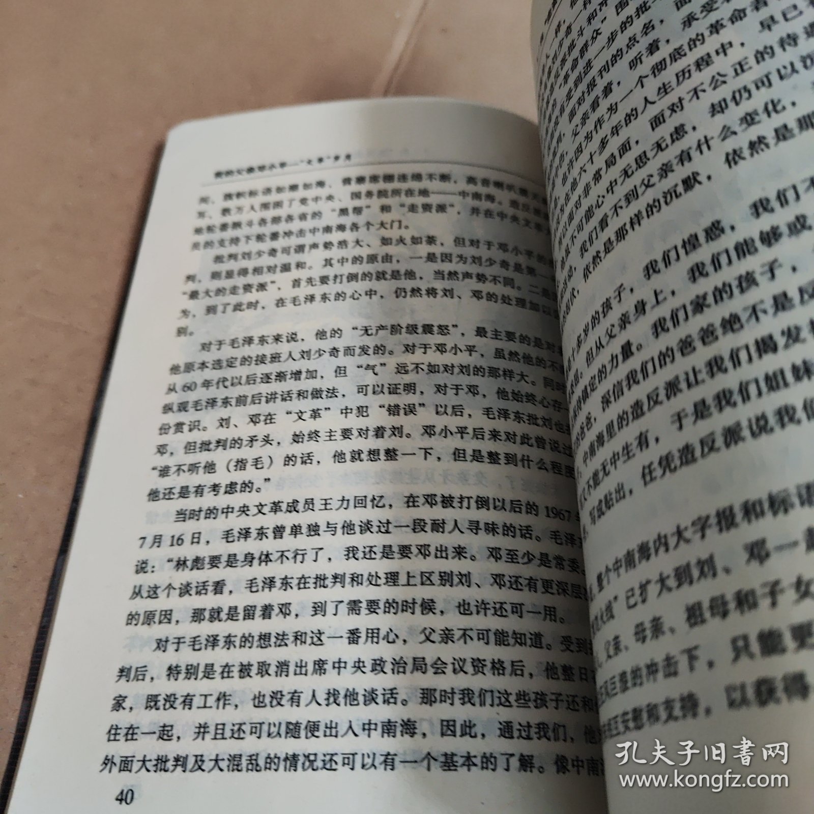 我的父亲邓小平：文革岁月
