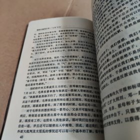 我的父亲邓小平：文革岁月