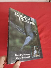 Racing Pigeons     (大16开，硬精装) 【详见图】