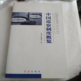 中国巡察制度概览