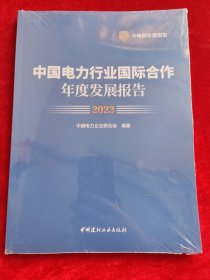 2023中国电力行业国际合作年度发展报告