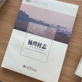 杨湾村志/中国名村志文化工程