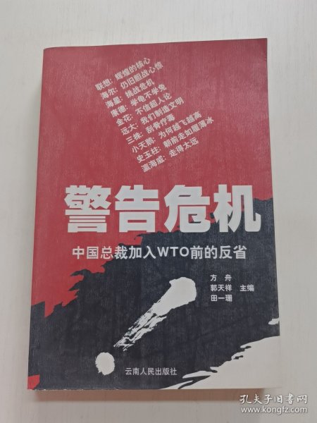 警告危机:中国总裁加入WTO前的反省