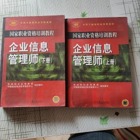 企业信息管理师（上下）