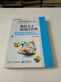 微权力下的项目管理：如何在有责无权的状况下带领项目团队获取项目成功