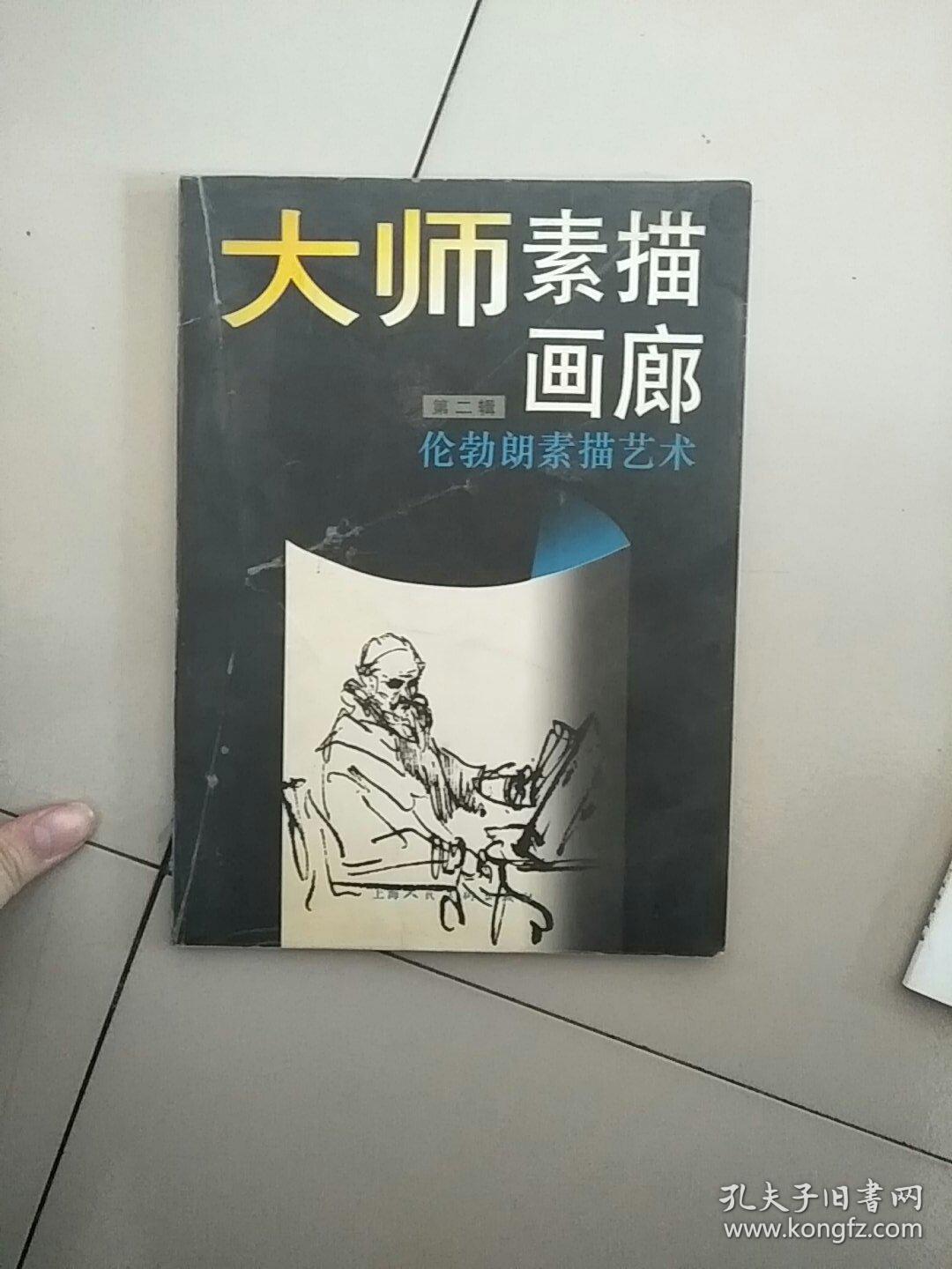 伦勃朗素描艺术：大师素描画廊 库存书 参看图片