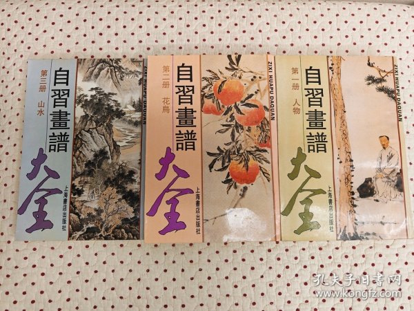 自习画谱大全