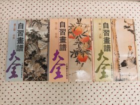 自习画谱大全