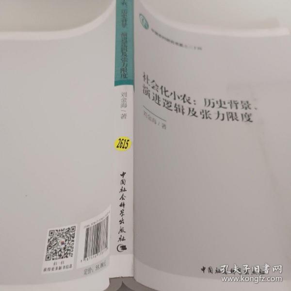 社会化小农:历史背景、演进逻辑及张力限度