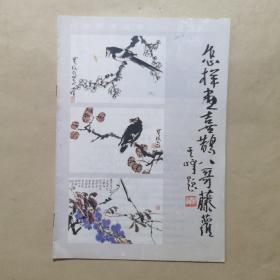 怎样画喜鹊、八哥、藤萝——自学美术丛书（八）