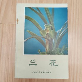 兰花 沈渊如 沈荫椿著 1版1印图片清晰 品相较好 沈荫椿先生2021年1月在美国因新冠逝世 纪念之