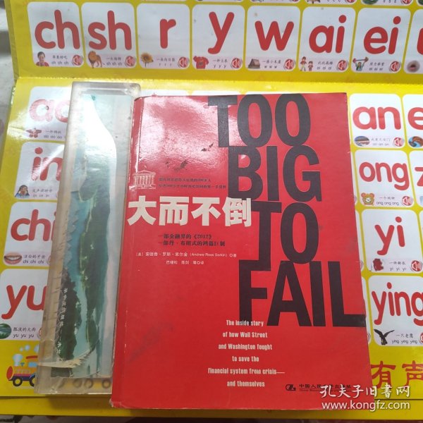 大而不倒：2010年全球政要和首席执行官争相阅读的金融危机启示录