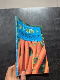 萝卜胡萝卜高效栽培技术张菲、李宗琴、陈伟杰 著9787533161163