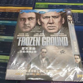 光盘DVD:惊天冻地简装1碟