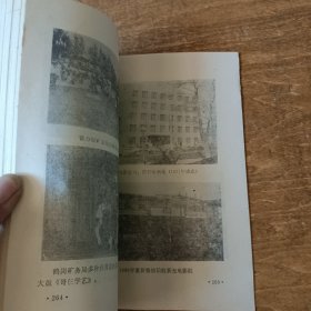 鹤岗市文化艺术志