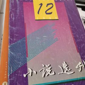 小说选刊杂志一本，有：1996年12，单本，史铁生，邓一光，朱辉，贾平凹，刘庆邦，