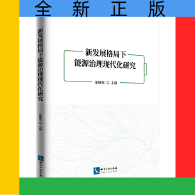 新發(fā)展格局下能源治理現(xiàn)代化研究
