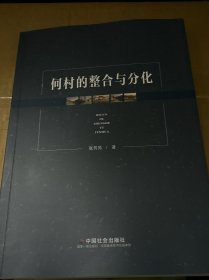 何村的整合与分化