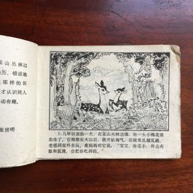 小鹿青青的故事（1979年一版一印）