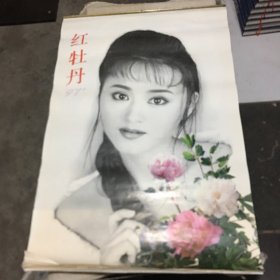 1997年红牡丹挂历（12张全其中7.8月合一张）