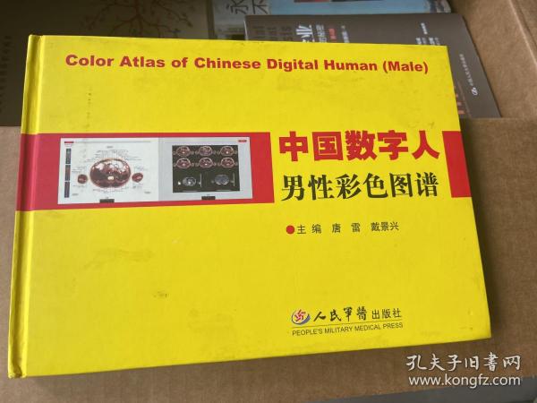 中国数字人男性彩色图谱